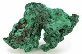 Silky, Fibrous Malachite Cluster - DR Congo #261914-1